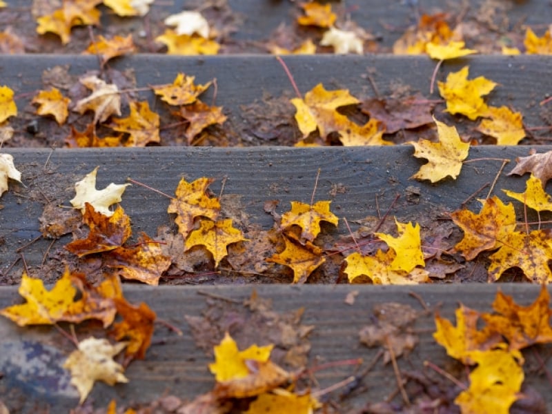 Cultivating a Safe, Supportive Environment
